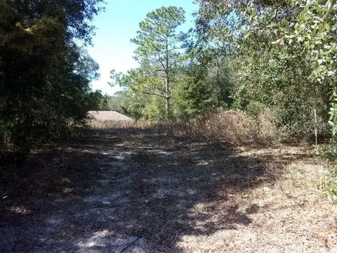 SW 140th Avenue Ocala FL 34481