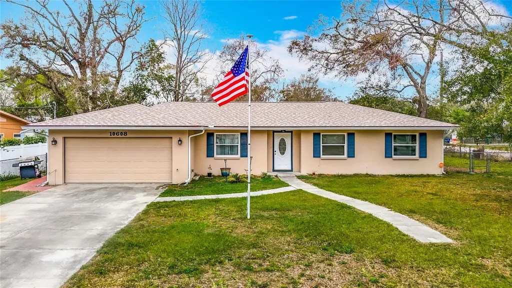 10608 Sassafras Street Tampa FL 33617