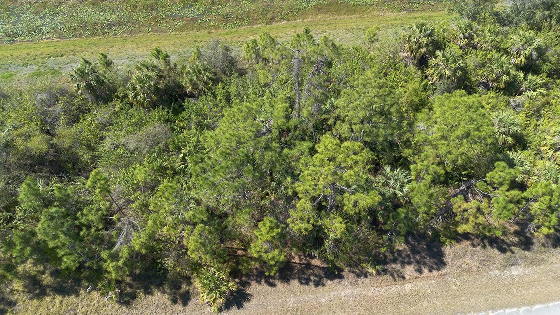 Grover Circle North Port FL 34288