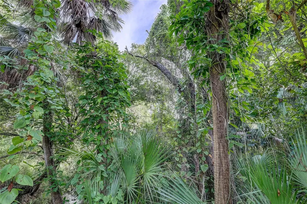 39TH Street Sarasota FL 34234