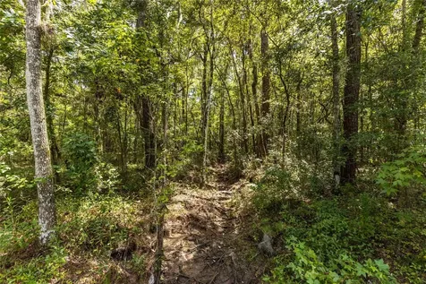 10971 SW 8th Avenue Gainesville FL 32607