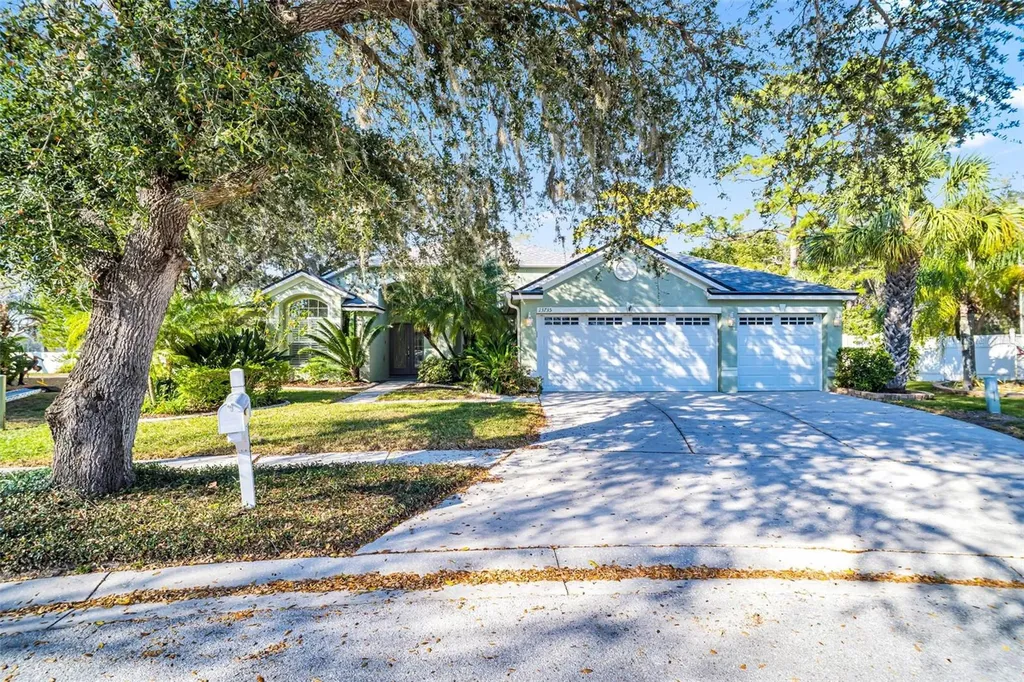 13735 Antler Point Drive Tampa FL 33626