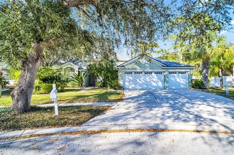 13735 Antler Point Drive Tampa FL 33626