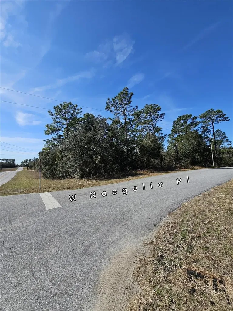 2914 W Naegelia Place Citrus Springs FL 34434