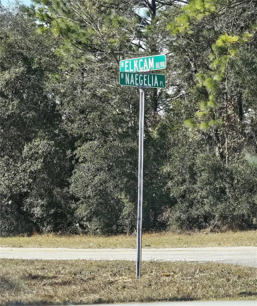 2914 W Naegelia Place Citrus Springs FL 34434