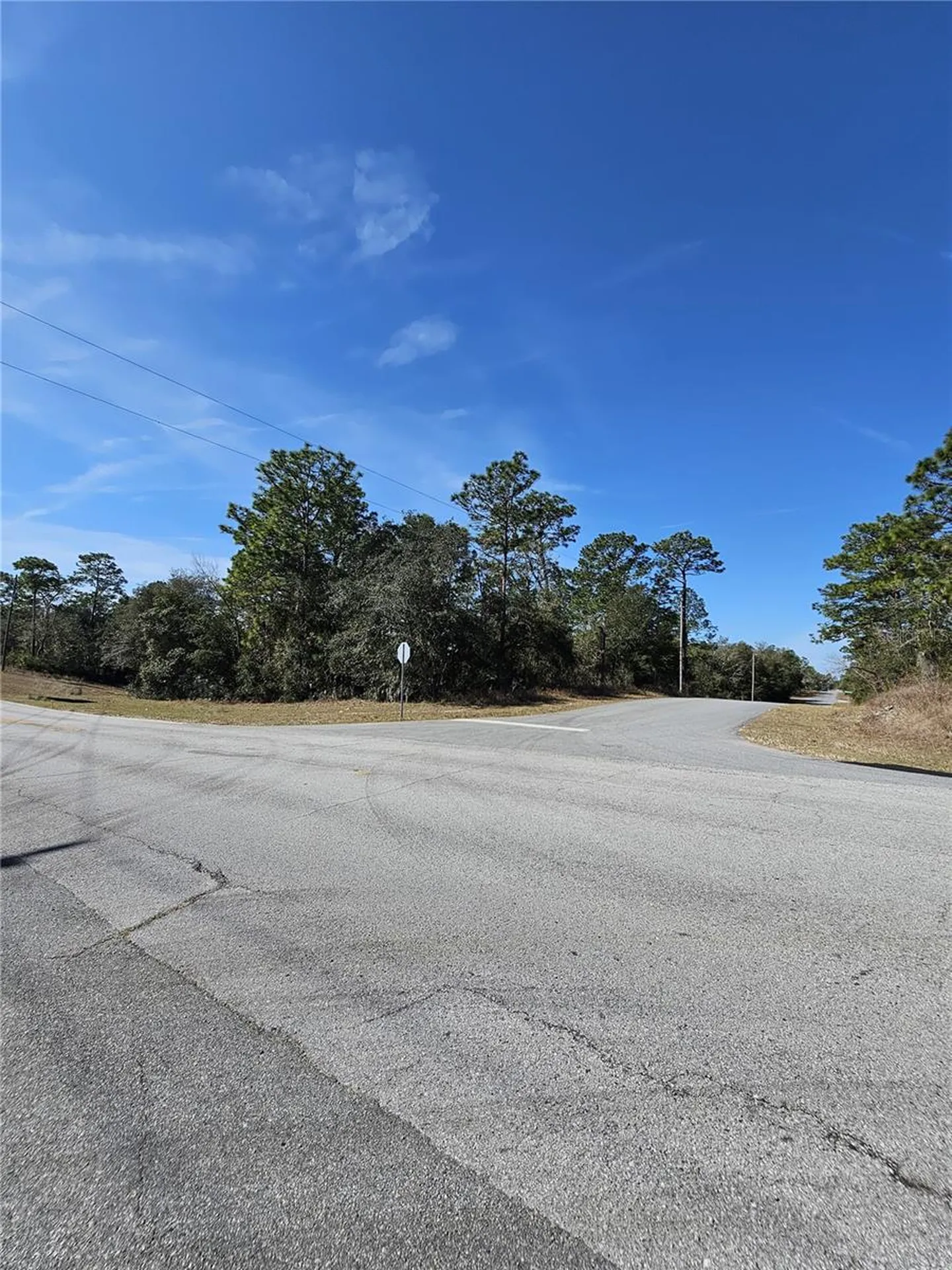 2914 W Naegelia Place Citrus Springs FL 34434