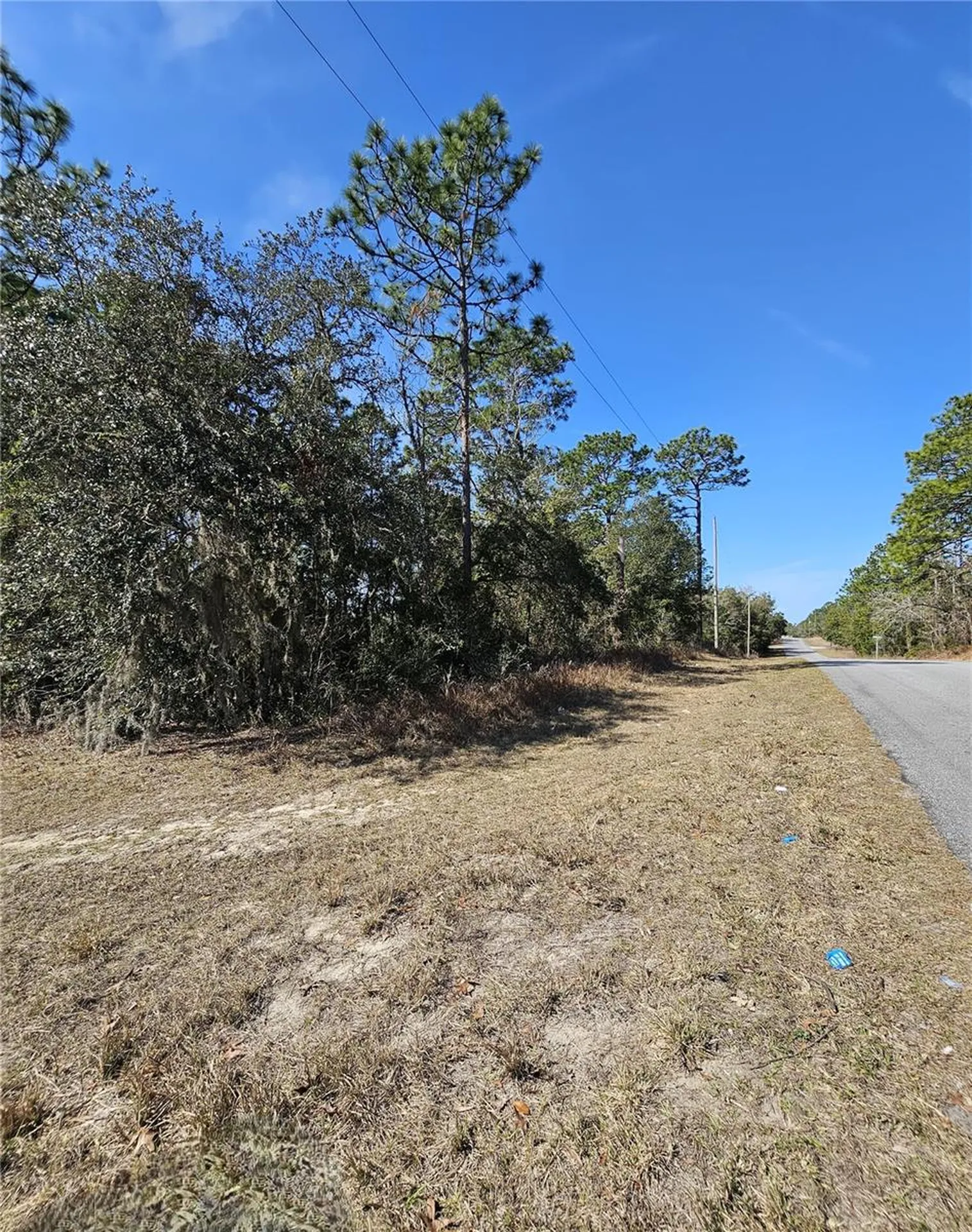 2914 W Naegelia Place Citrus Springs FL 34434