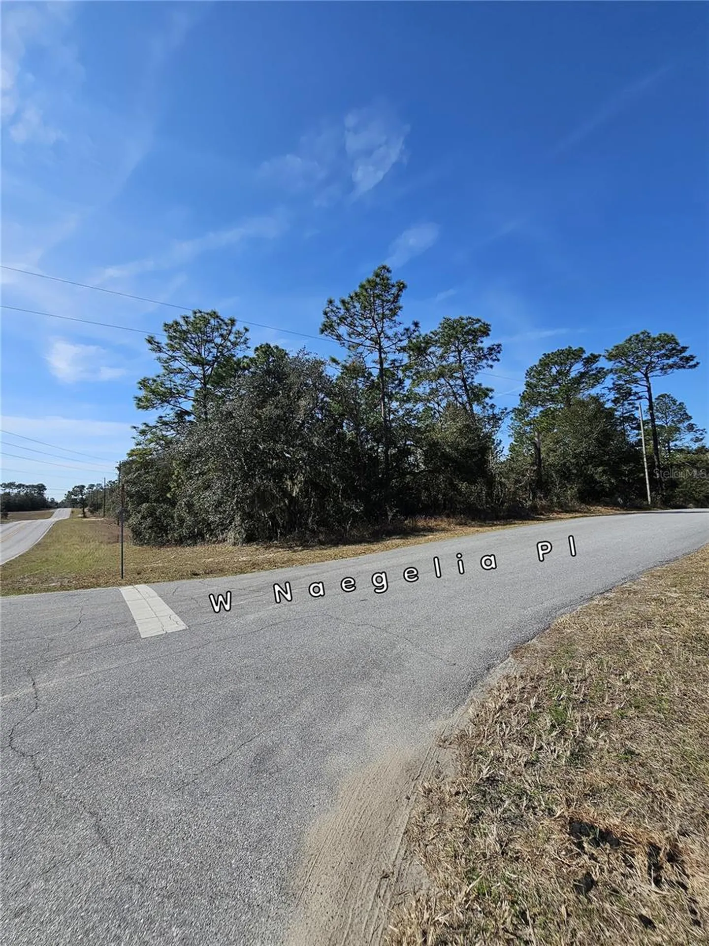 2914 W Naegelia Place Citrus Springs FL 34434