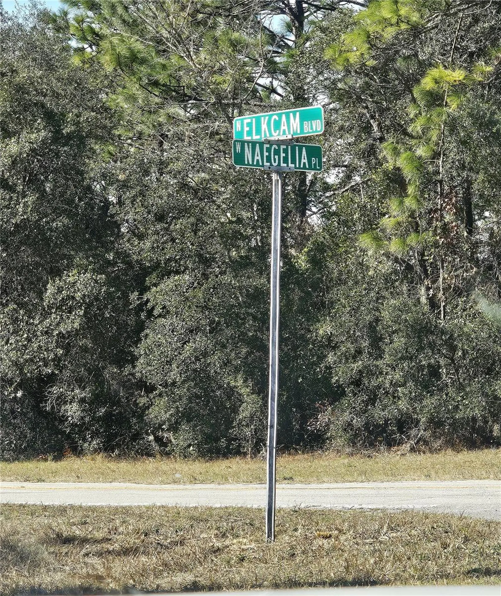 2914 W Naegelia Place Citrus Springs FL 34434