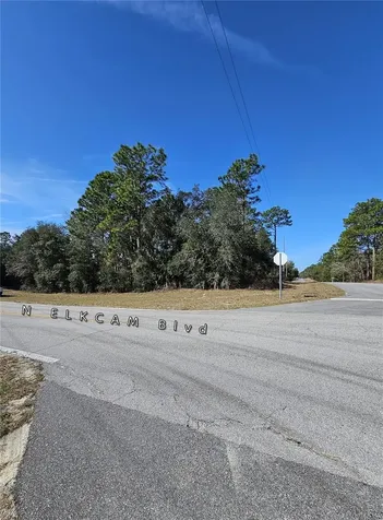 2914 W Naegelia Place Citrus Springs FL 34434