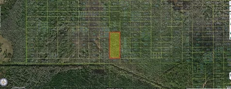 Holopaw Groves Road St Cloud FL 34772