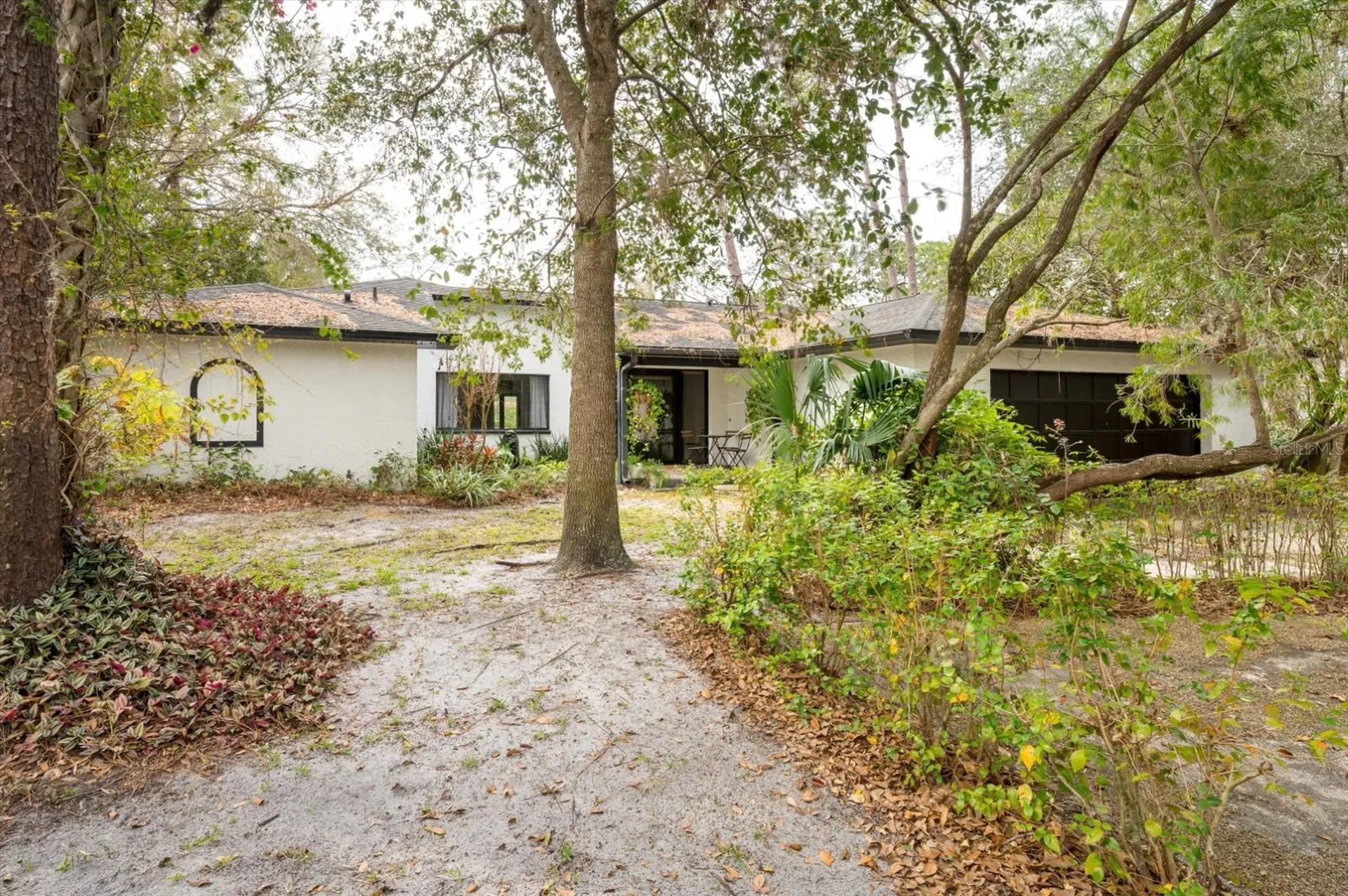 29318 Whippoorwill Lane Wesley Chapel FL 33543