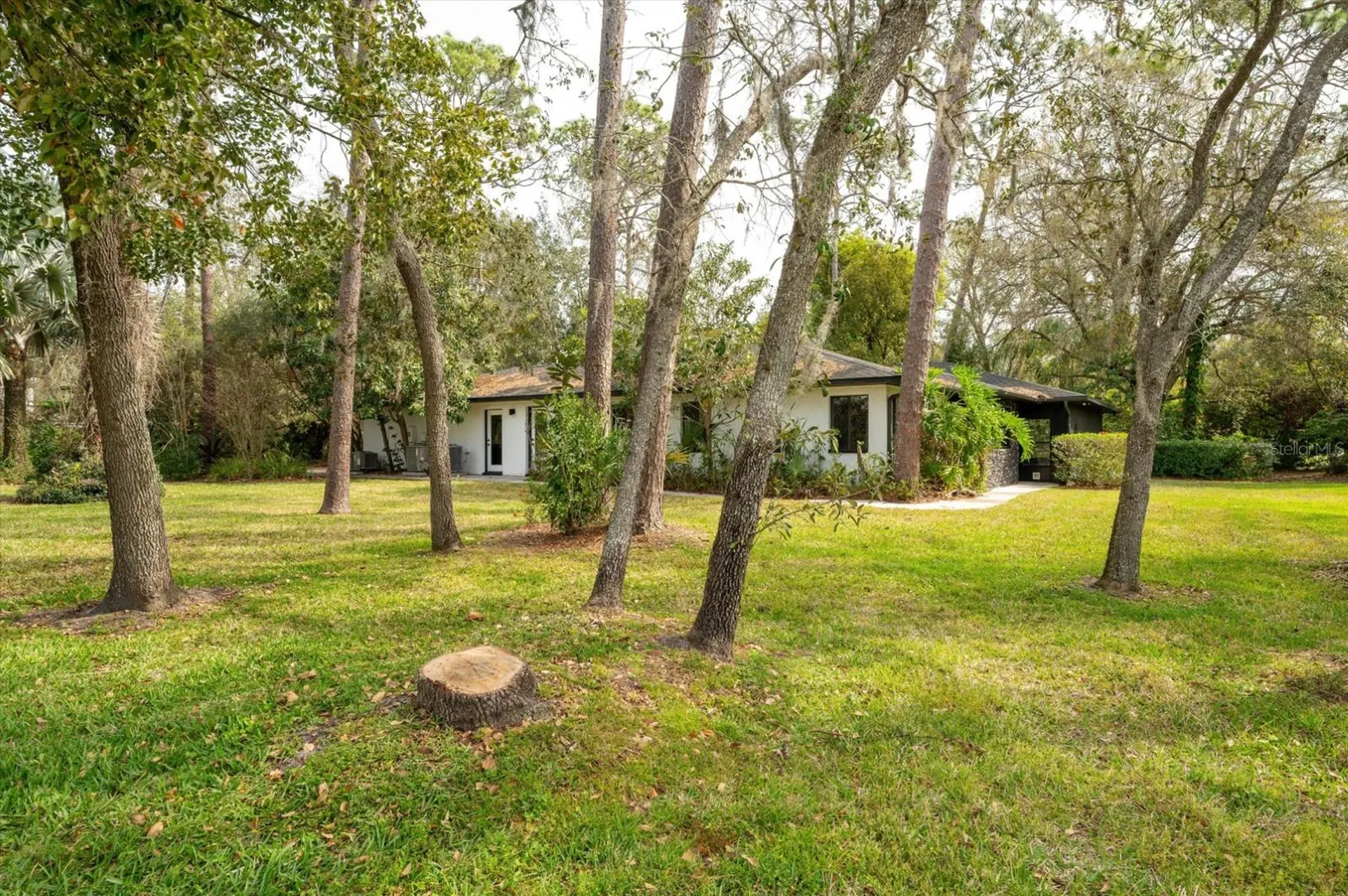 29318 Whippoorwill Lane Wesley Chapel FL 33543