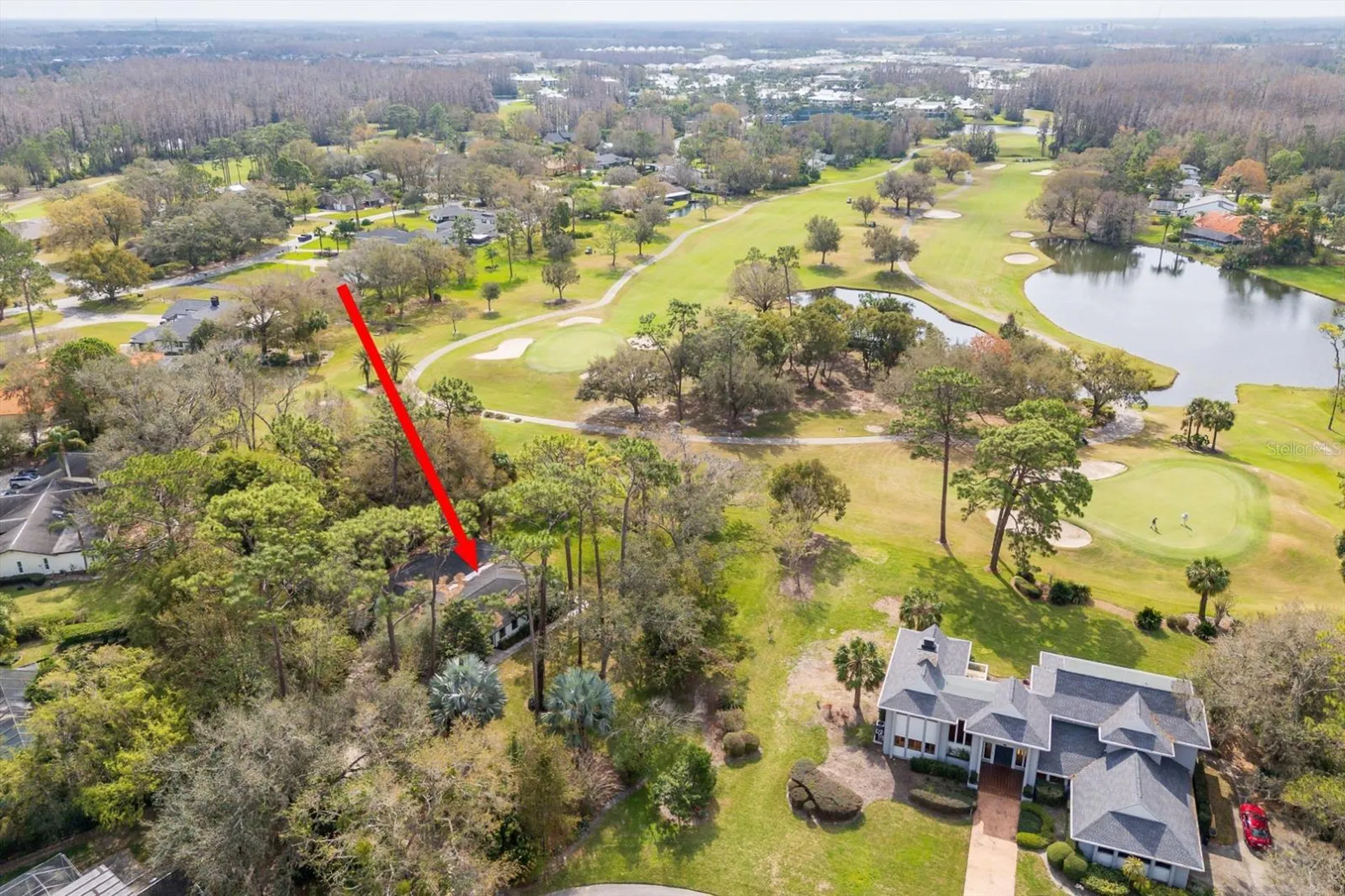 29318 Whippoorwill Lane Wesley Chapel FL 33543