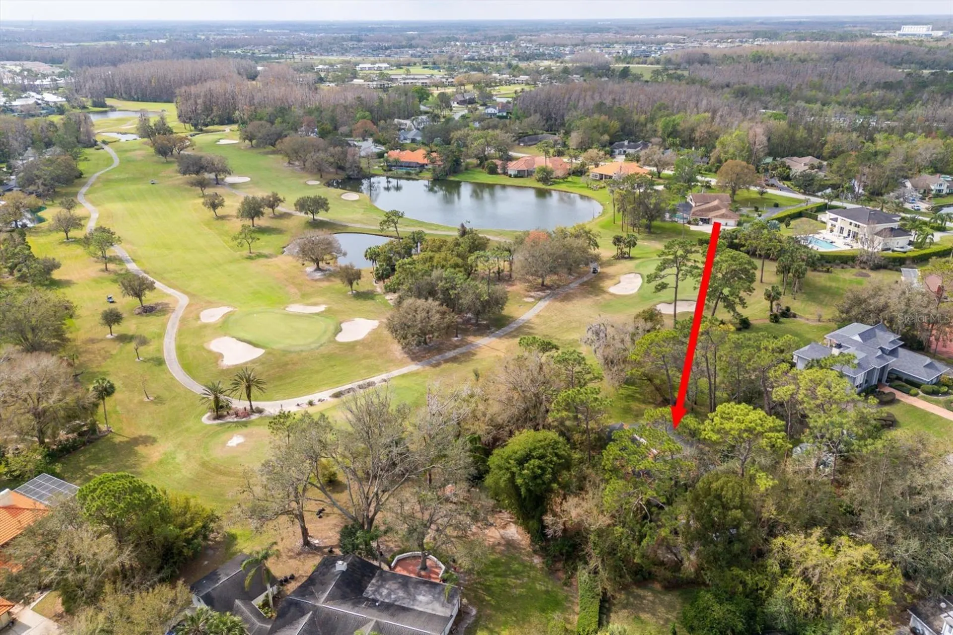 29318 Whippoorwill Lane Wesley Chapel FL 33543