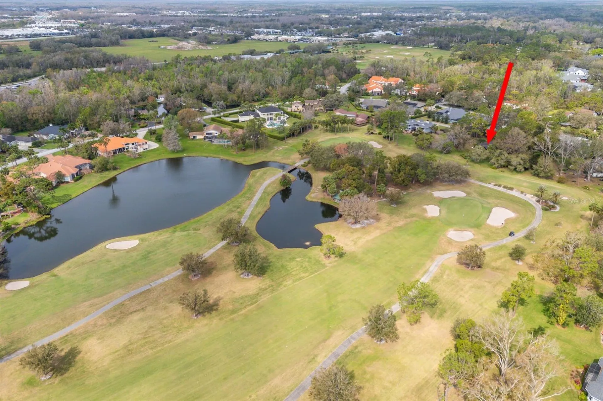 29318 Whippoorwill Lane Wesley Chapel FL 33543