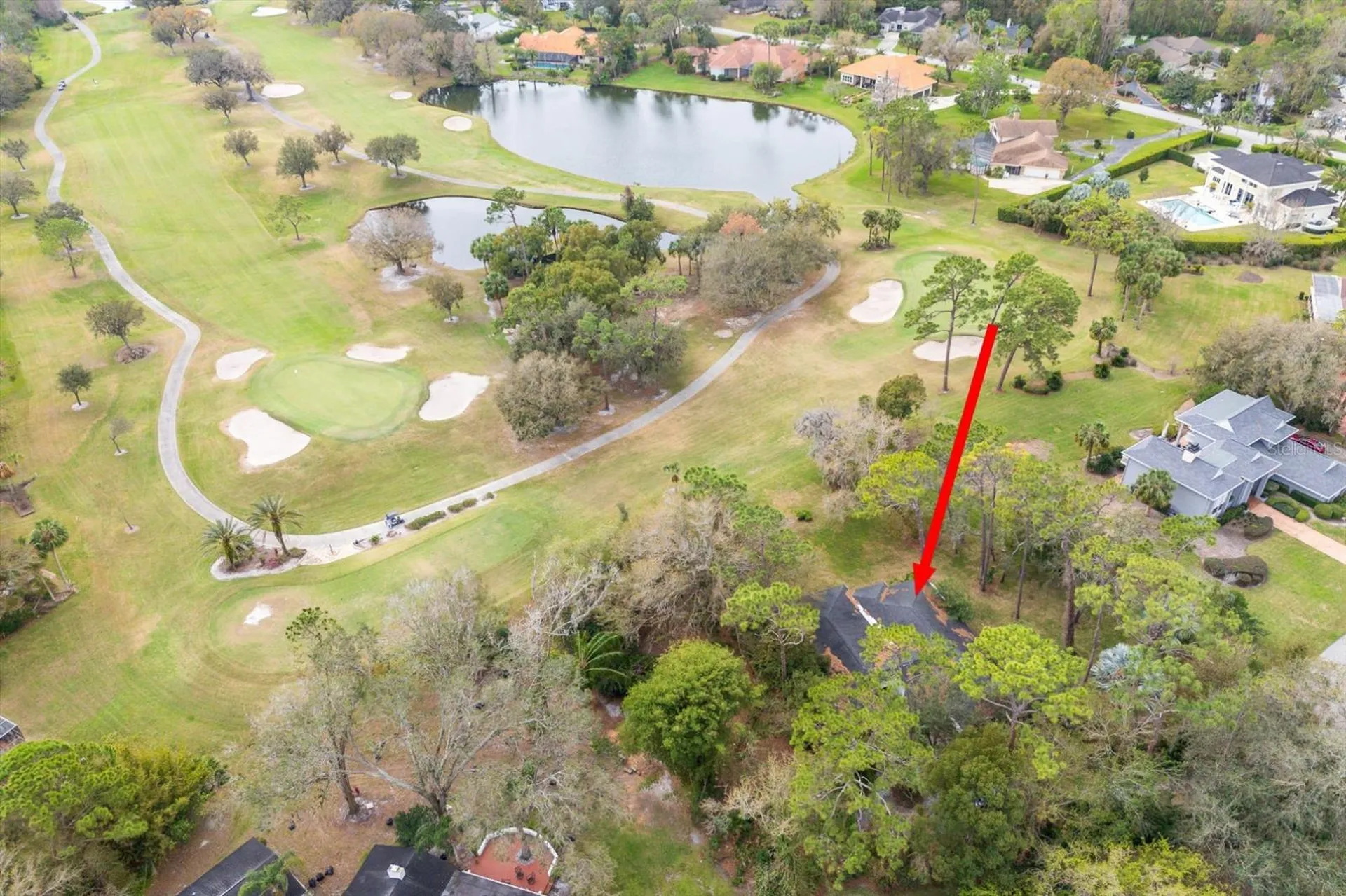 29318 Whippoorwill Lane Wesley Chapel FL 33543