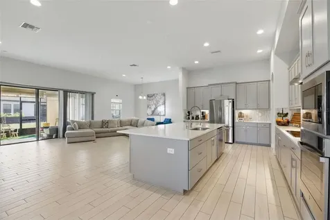12887 Tortoise Shell Place Riverview FL 33579