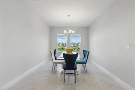 12887 Tortoise Shell Place Riverview FL 33579