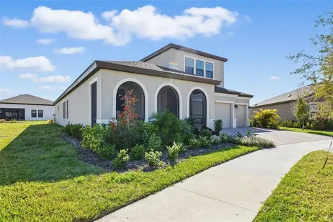 12887 Tortoise Shell Place Riverview FL 33579