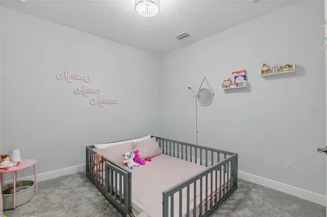 12887 Tortoise Shell Place Riverview FL 33579