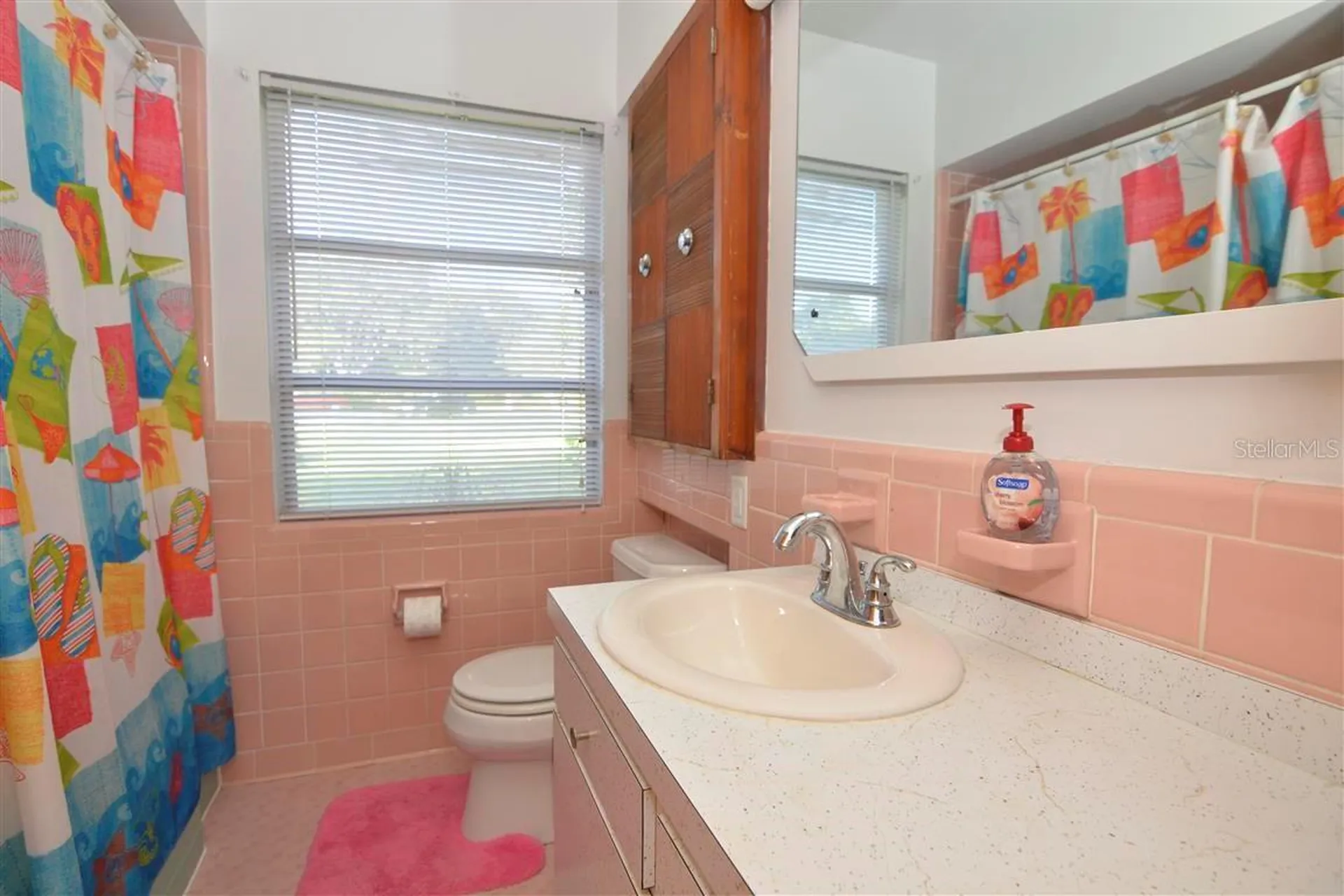 3045 Cecelia Drive Apopka FL 32703