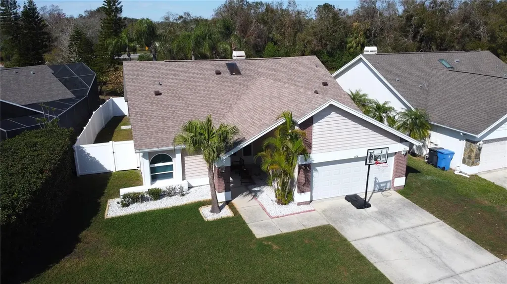 8731 Boysenberry Drive Tampa FL 33635