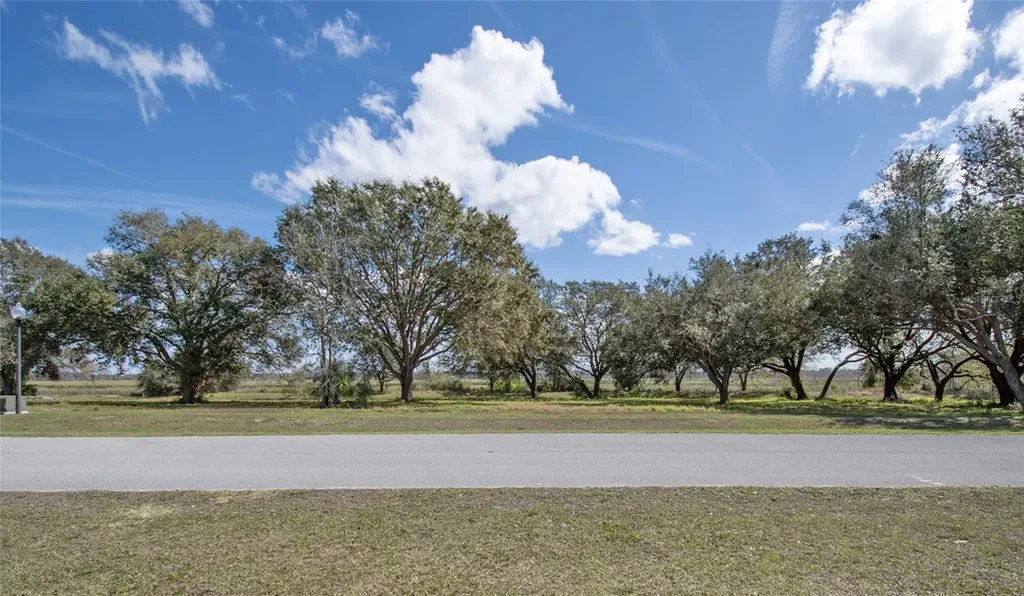 Royal Palm Drive Groveland FL 34736