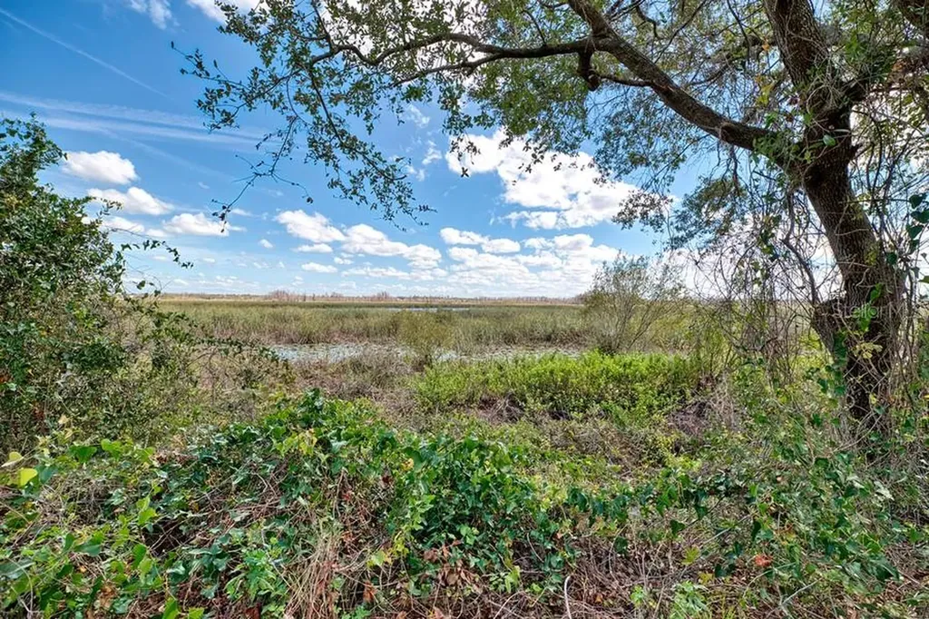 Royal Palm Drive Groveland FL 34736