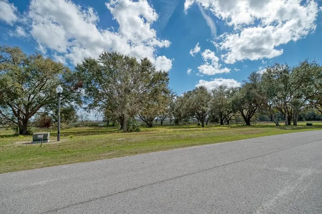 Royal Palm Drive Groveland FL 34736
