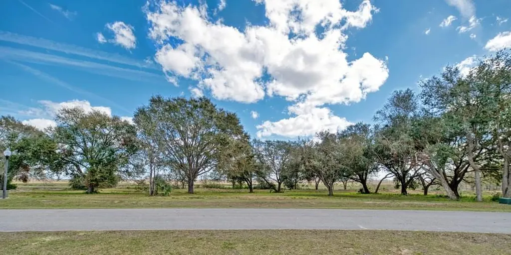 Royal Palm Drive Groveland FL 34736