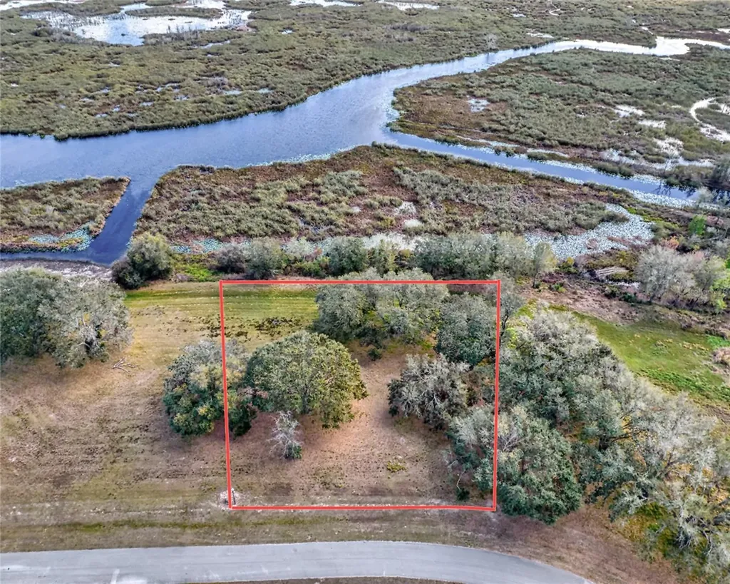 Royal Palm Drive Groveland FL 34736