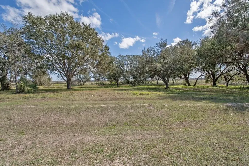 Royal Palm Drive Groveland FL 34736