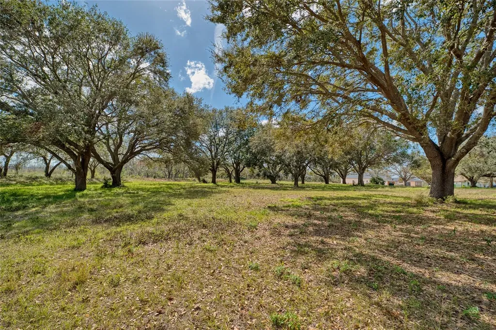 Royal Palm Drive Groveland FL 34736