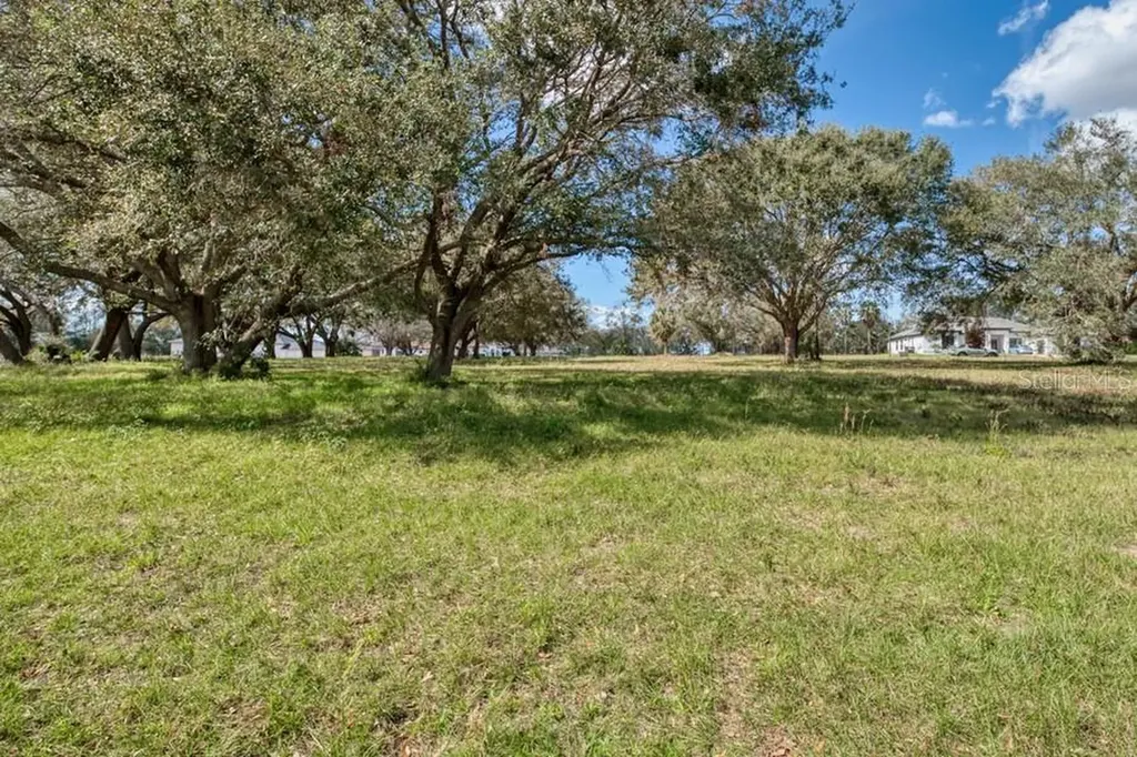 Royal Palm Drive Groveland FL 34736