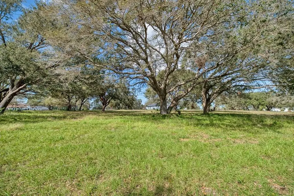 Royal Palm Drive Groveland FL 34736