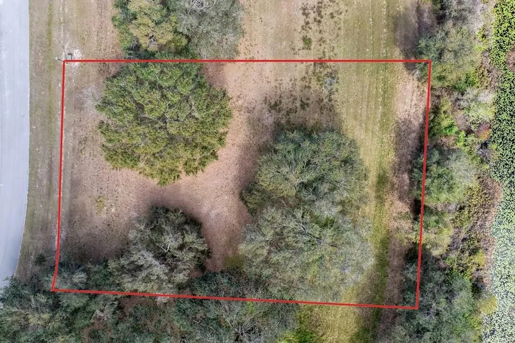 Royal Palm Drive Groveland FL 34736