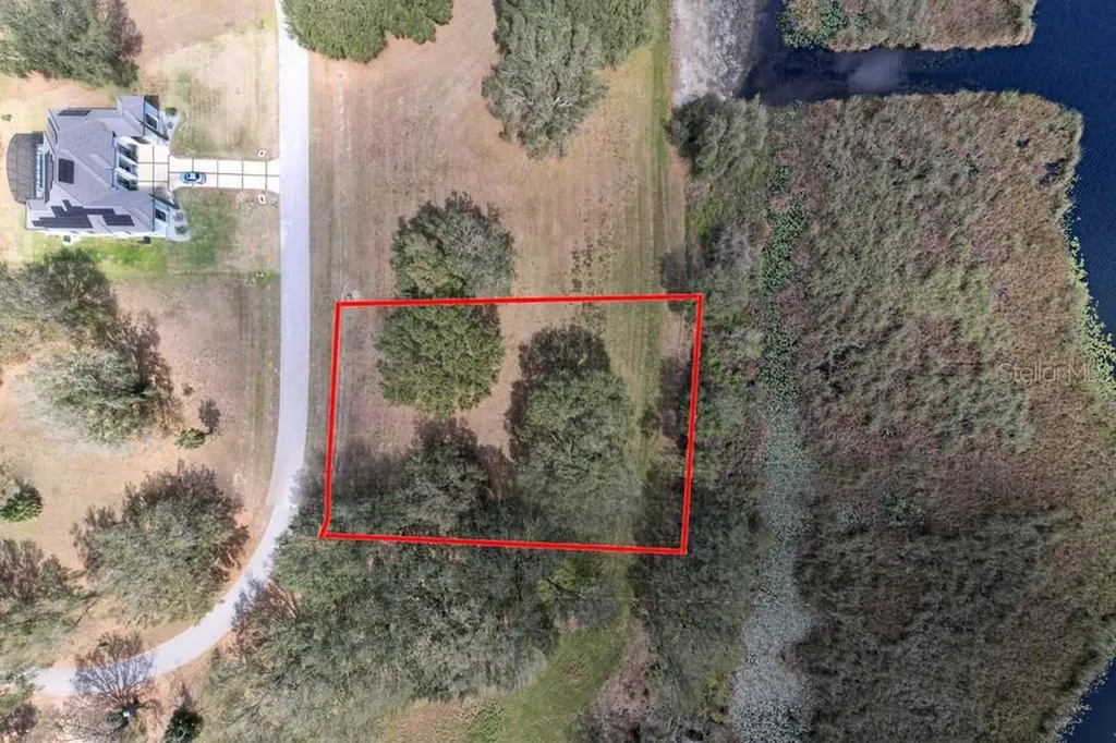 Royal Palm Drive Groveland FL 34736