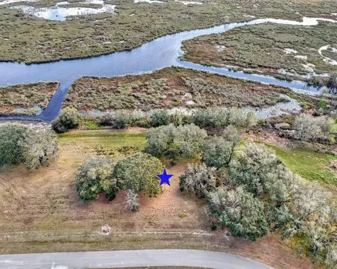 Royal Palm Drive Groveland FL 34736