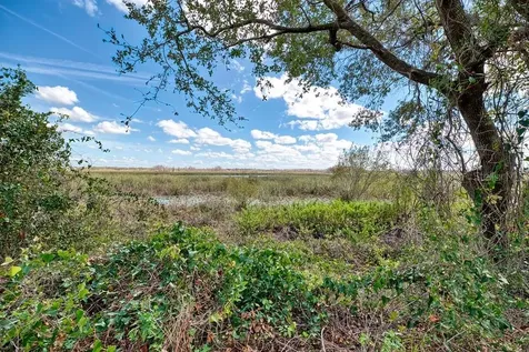 Royal Palm Drive Groveland FL 34736
