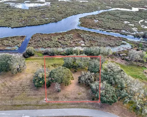 Royal Palm Drive Groveland FL 34736