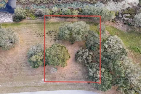 Royal Palm Drive Groveland FL 34736