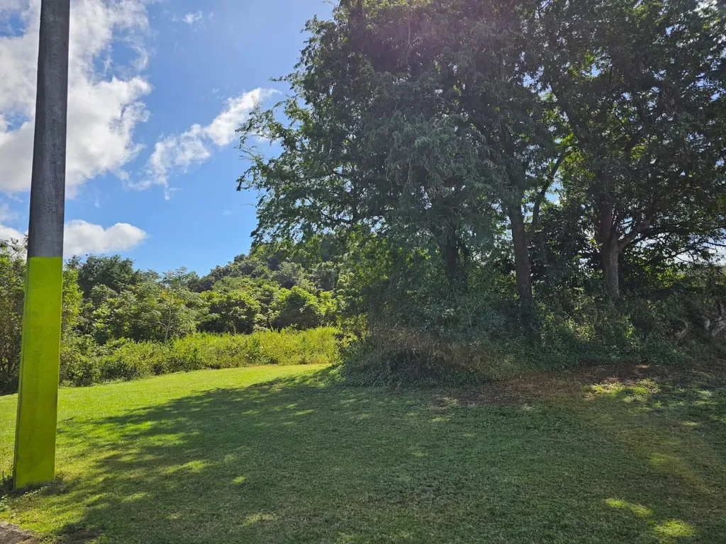 Bo. Celada Sector Los Chino Gurabo PR 00778