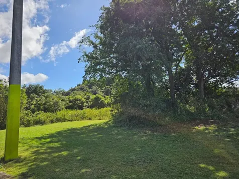 Bo. Celada Sector Los Chino Gurabo PR 00778