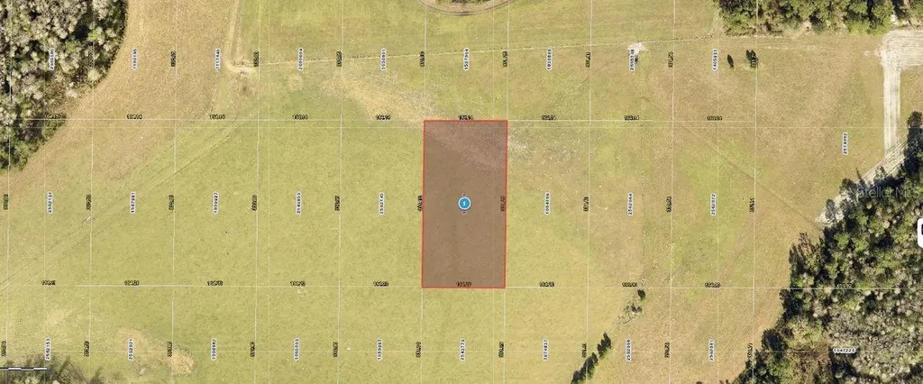 SR-33 Clermont FL 34714