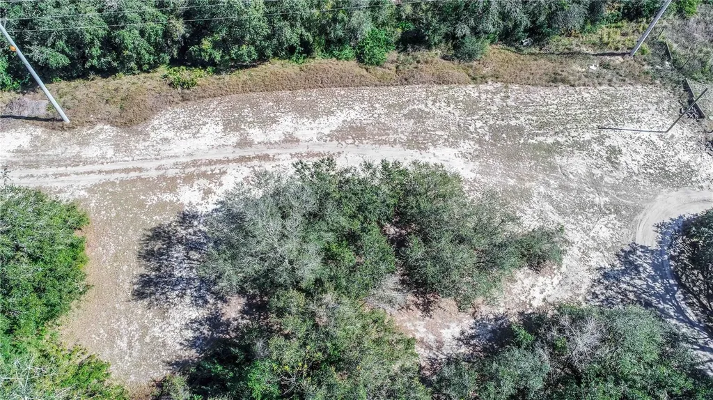 Daniel Street Dundee FL 33838