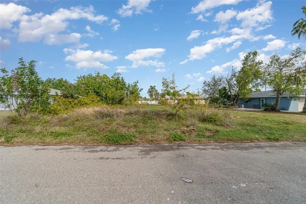 317 SE 32nd Terrace Cape Coral FL 33904