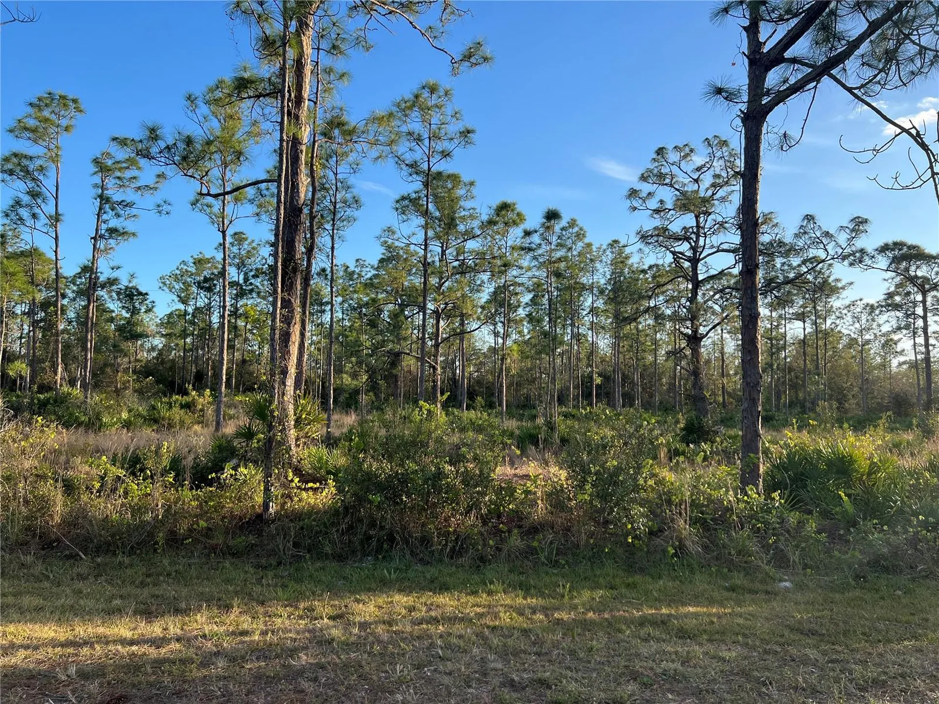 Punta Gorda FL, 28037 Argyle Drive