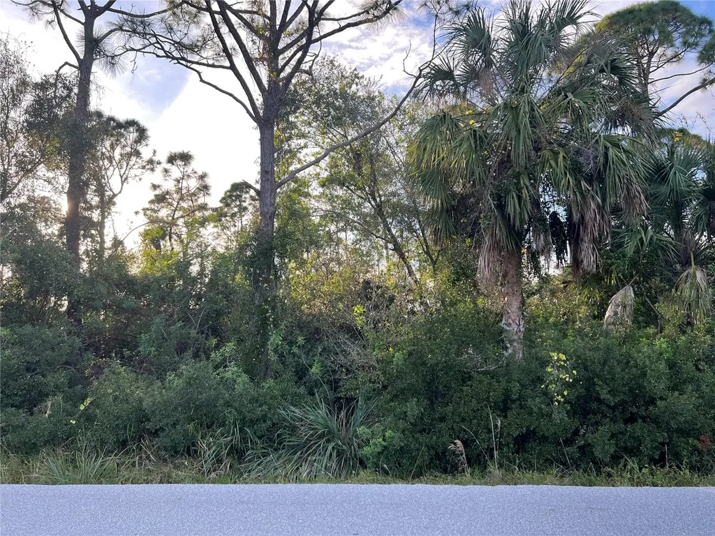 11197 / 11205 Pinetrail Road Punta Gorda FL 33955
