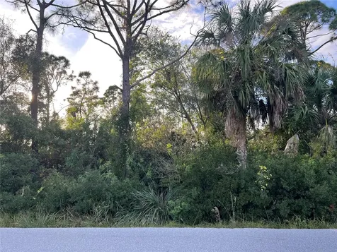 11197 / 11205 Pinetrail Road Punta Gorda FL 33955